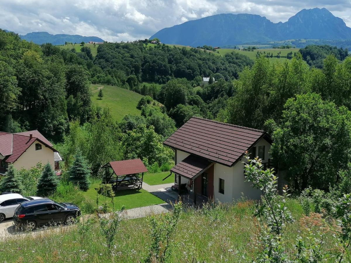 Villa 7 Brazi *