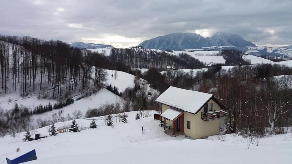 Villa 7 Brazi