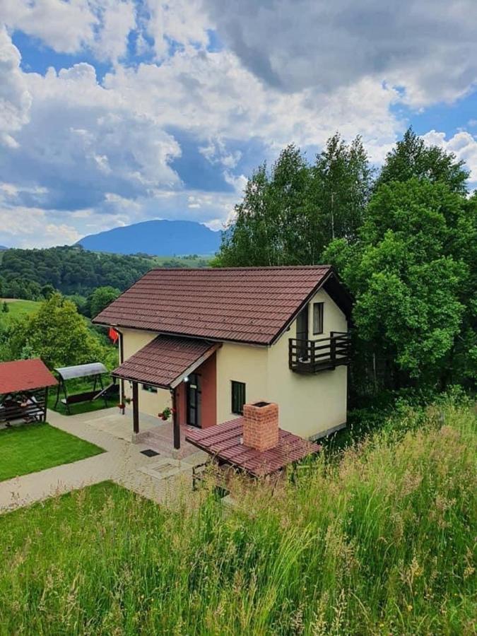 7 Brazi Poiana Mărului