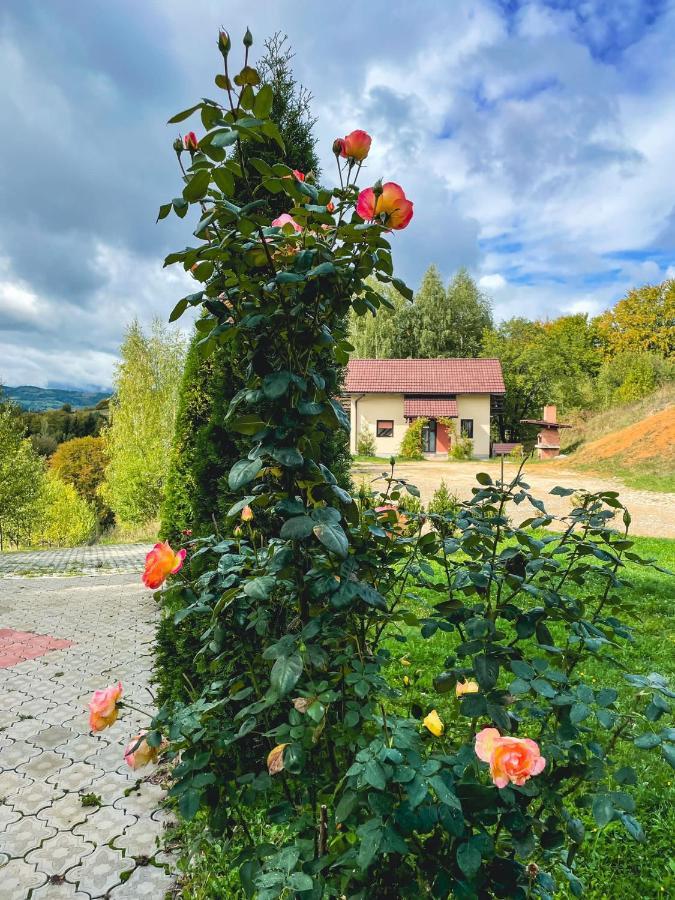 7 Brazi Villa Poiana Mărului