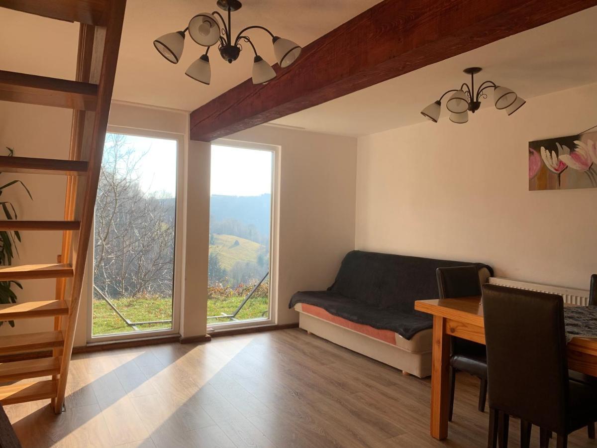 7 Brazi Villa Poiana Mărului