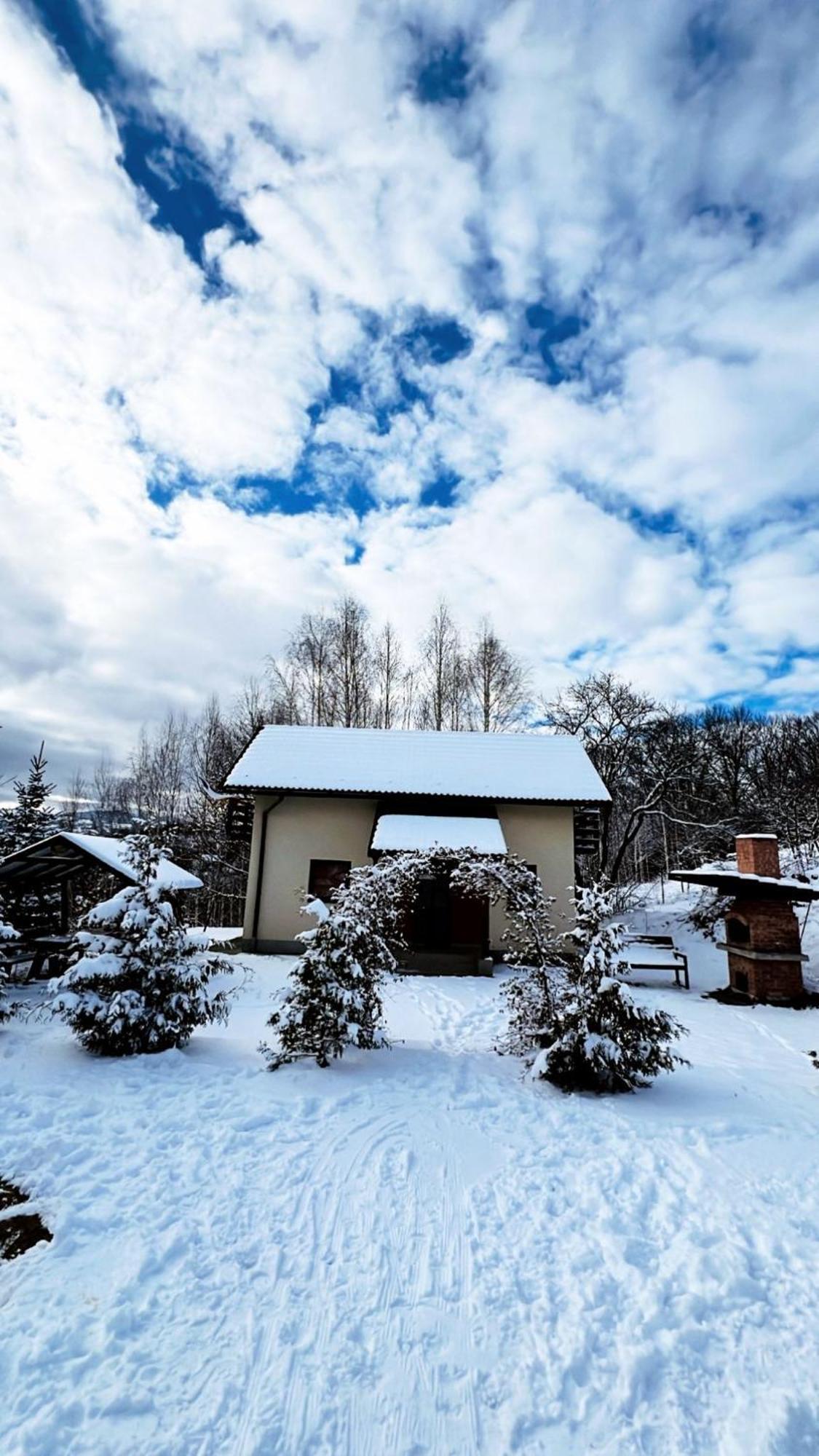 Villa 7 Brazi Poiana Mărului