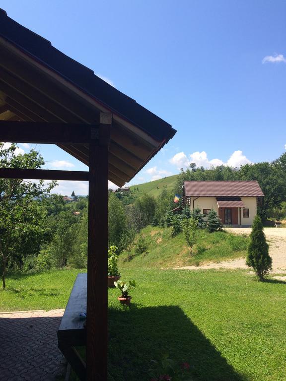 7 Brazi Poiana Mărului