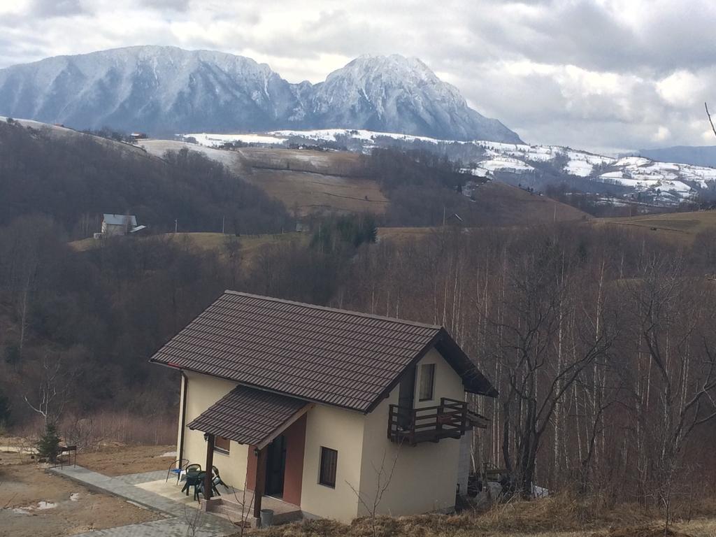 7 Brazi Villa Poiana Mărului