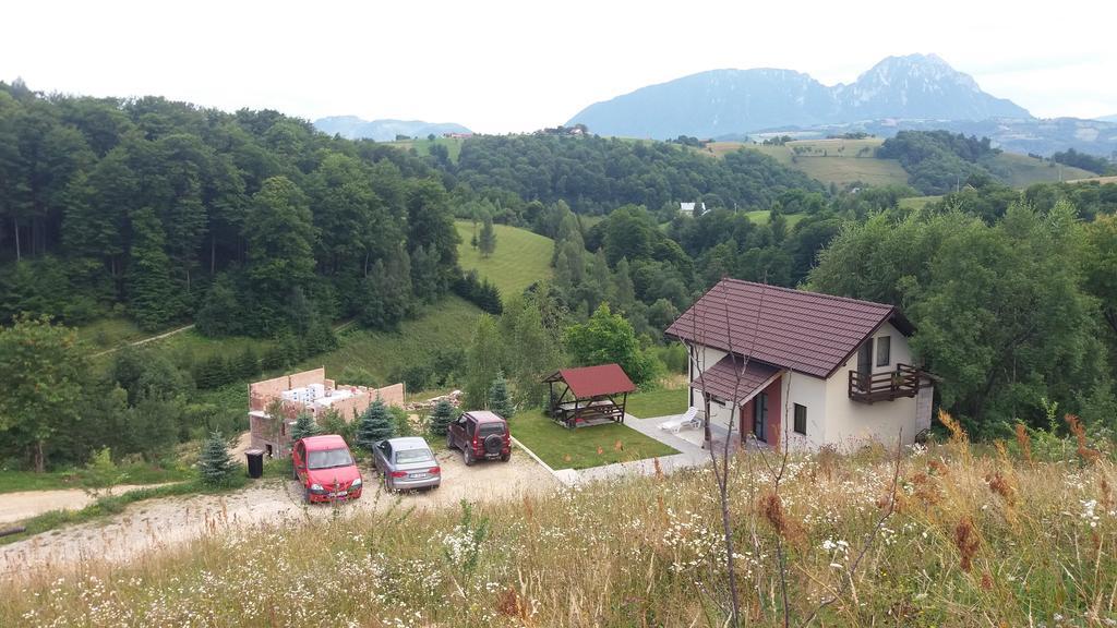 Villa 7 Brazi *
