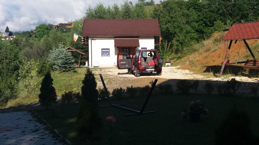 7 Brazi * Poiana Mărului