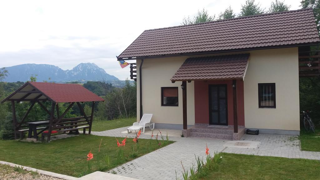 7 Brazi * Poiana Mărului