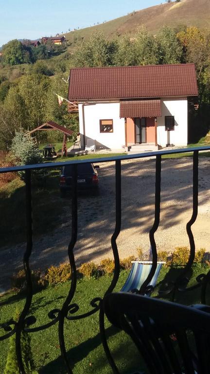 7 Brazi Poiana Mărului