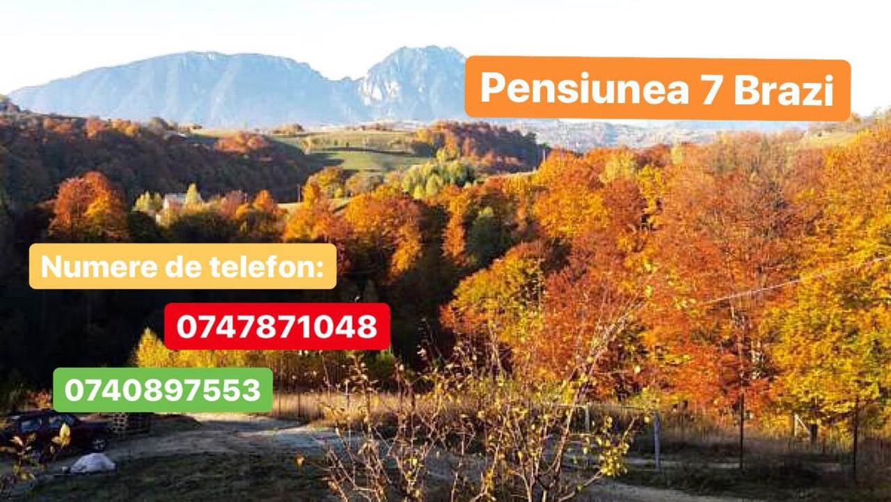 7 Brazi Villa Poiana Mărului