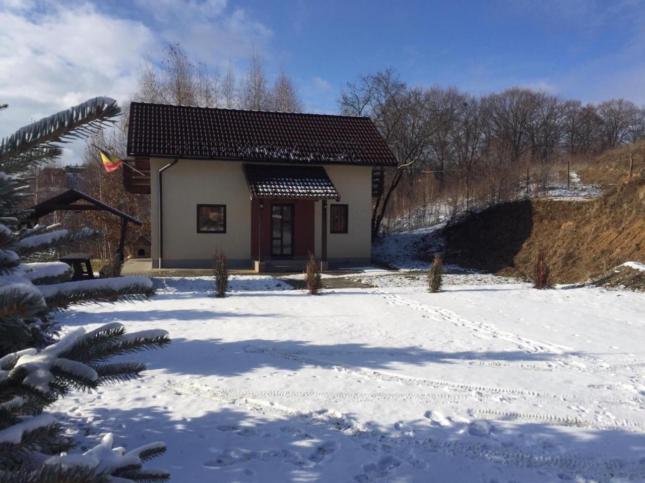 7 Brazi Villa Poiana Mărului