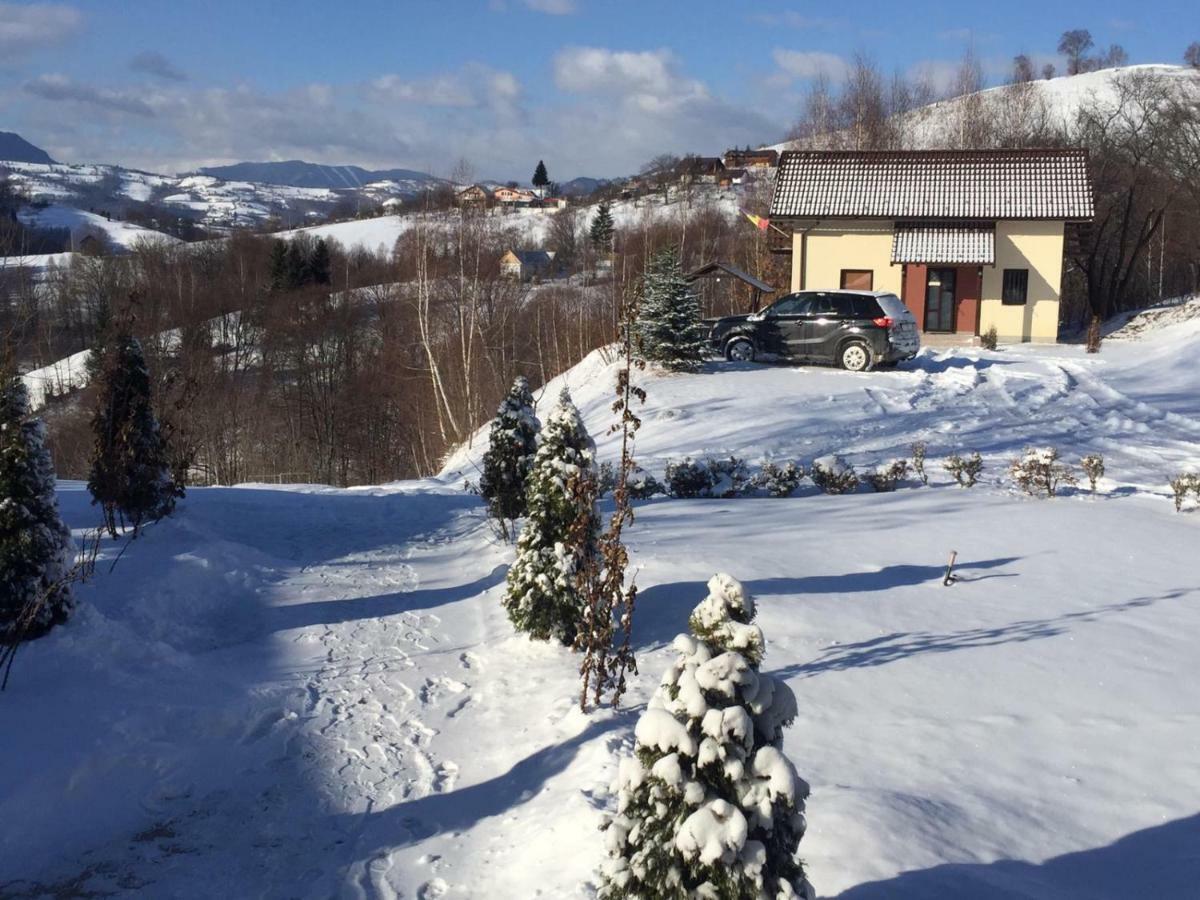7 Brazi Villa Poiana Mărului