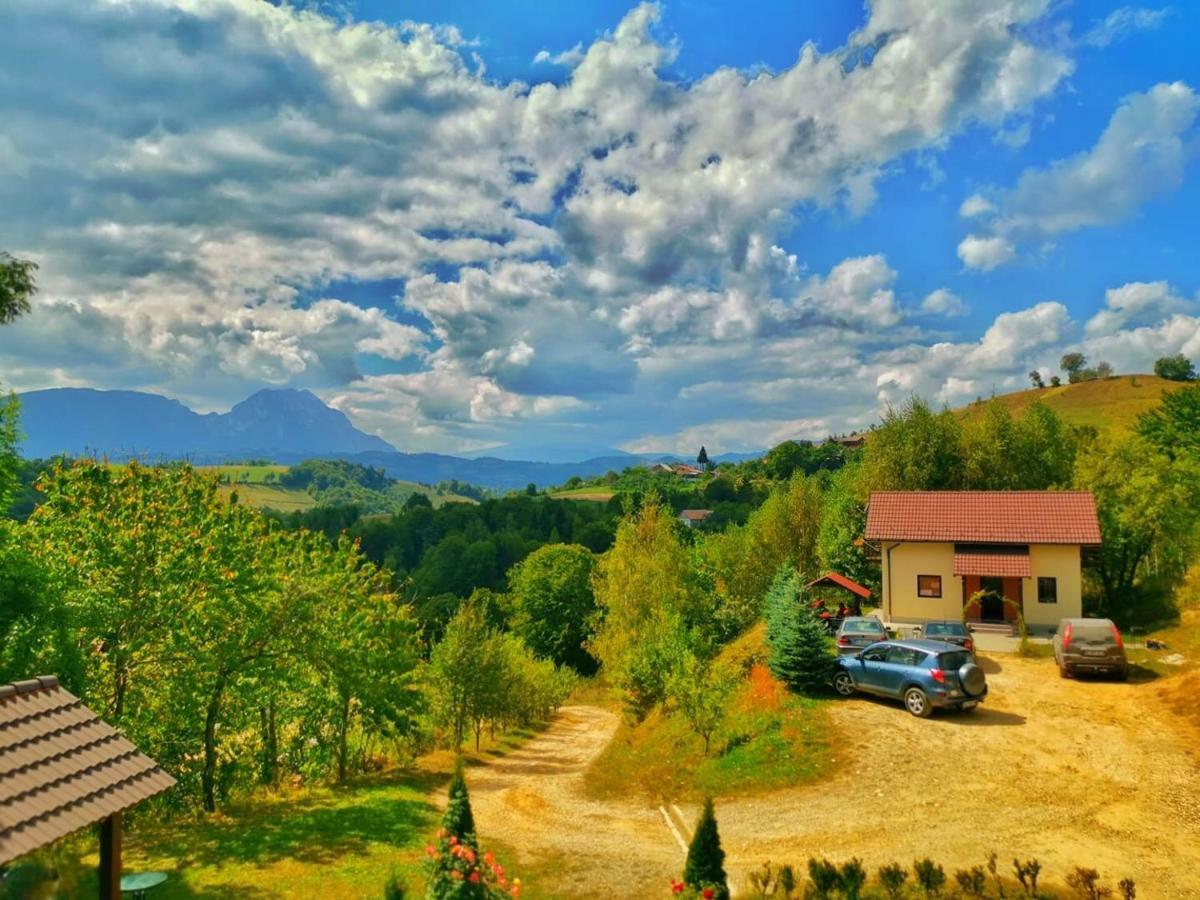 Villa 7 Brazi Poiana Mărului